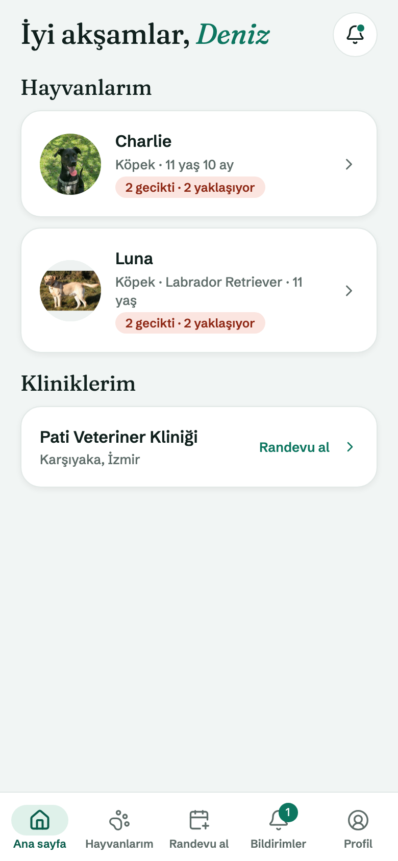 Uygulamada Hayvanlarım: fotoğraflı hayvan kartları ve geciken uygulamalar